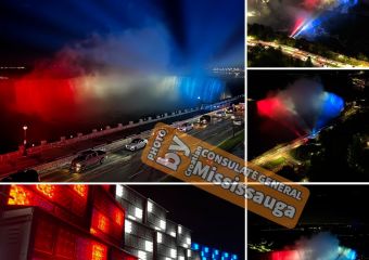 Nikola Tesla Network - Niagara falls were lit up