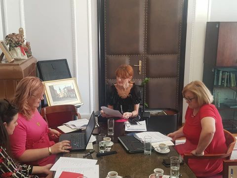 Nikola Tesla Network - Meeting of the Work group in Karlovac